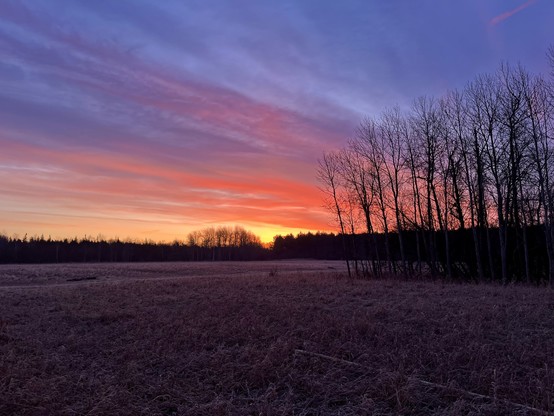 A beautiful sunrise picture