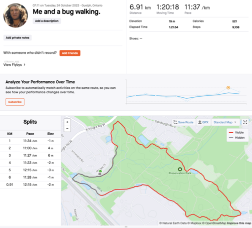 Jim Carroll does his regular 7km morning walk. Feeling off, but not feeling awful. Hoping it clears fast.