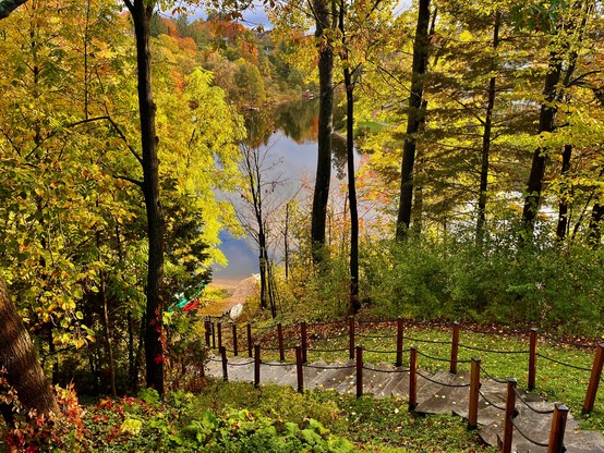 Autumn colors