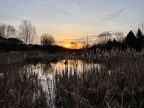 
A picture of a beautiful sunrise over upon