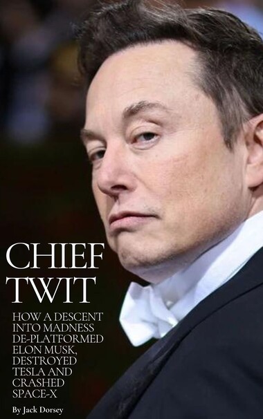 Fictional book cover: Chief Twit.