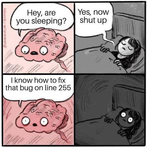 The comic about a person sleeping and the brain waking them up saying it knows how to fix a bug on line 255.