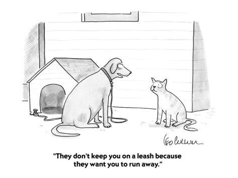 "They don't keep you on a leash because they want you to run. away" - cartoon