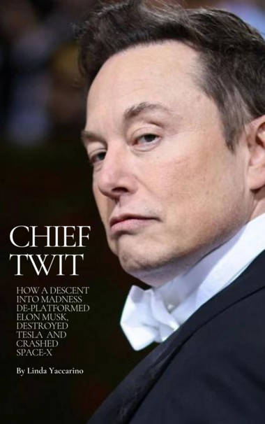 A fictional book cover: "Chief Twit: How a descent into madness de-platformed elon musk, destroyed 
tesla  and crashed 
space-x "