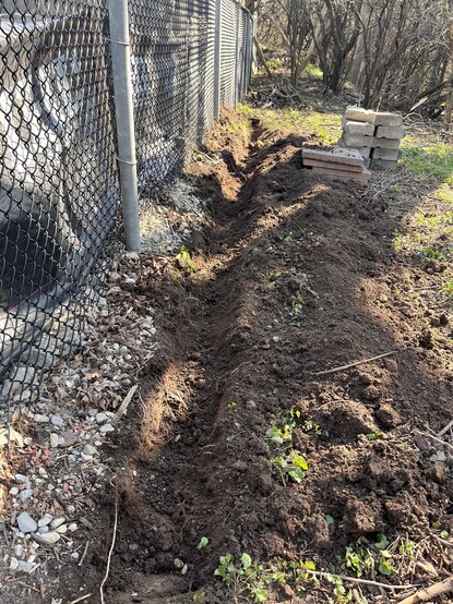A picture of a small trench, the futures Jim Carroll is building in the forest of his backyard